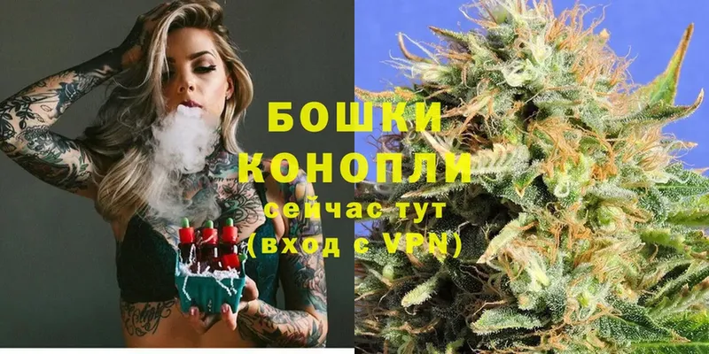 Конопля индика  Высоковск 